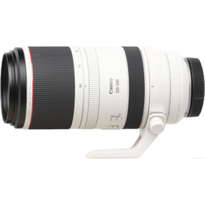 CANON RF 200-800MM LENS F6.3-9 IS USM LENS