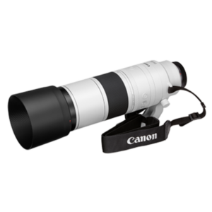 Canon RF 200-800mm f/6.3-9 IS USM Lens