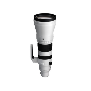 Sigma 300-600mm f/4 DG OS Sports Lens