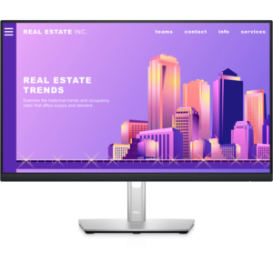 Dell P2422H 23.8" Full HD